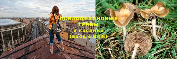 прущая мука Алексин