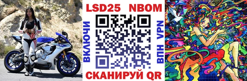 где можно купить   Петрозаводск  Наркотические марки 1500мкг 