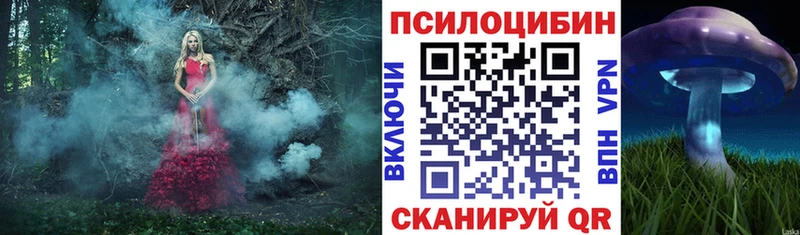 Псилоцибиновые грибы прущие грибы  Петрозаводск 