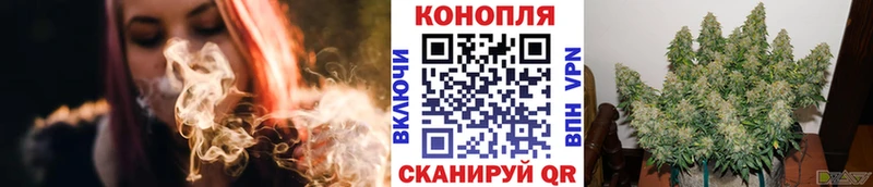 купить наркотик  Петрозаводск  Конопля OG Kush 